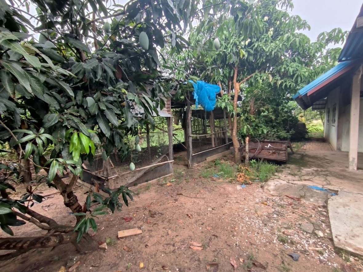 ขายบ้าน🏡พร้อมที่ดิน📍 ที่นา 6 ไร่ 3 งาน  ต.ดอนสมบูรณ์ อ.ยางตลาด จ.กาฬสินธุ์