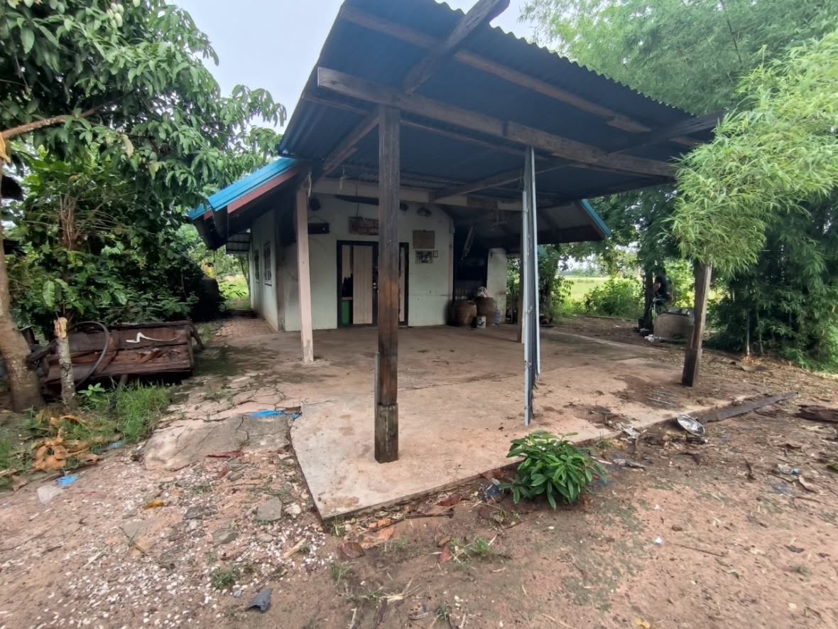 ขายบ้าน🏡พร้อมที่ดิน📍 ที่นา 6 ไร่ 3 งาน  ต.ดอนสมบูรณ์ อ.ยางตลาด จ.กาฬสินธุ์