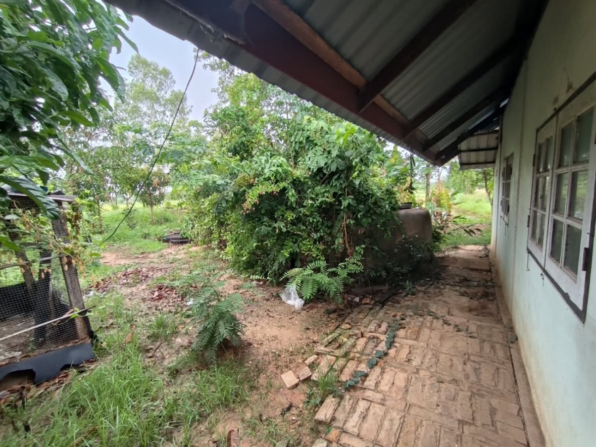 ขายบ้าน🏡พร้อมที่ดิน📍 ที่นา 6 ไร่ 3 งาน  ต.ดอนสมบูรณ์ อ.ยางตลาด จ.กาฬสินธุ์