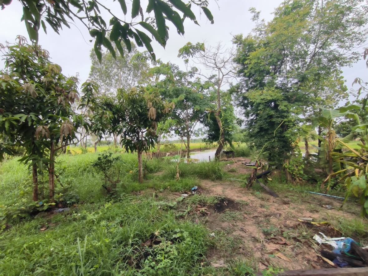 ขายบ้าน🏡พร้อมที่ดิน📍 ที่นา 6 ไร่ 3 งาน  ต.ดอนสมบูรณ์ อ.ยางตลาด จ.กาฬสินธุ์